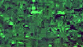 Hey, check out this free sadomasochism video with wild action!