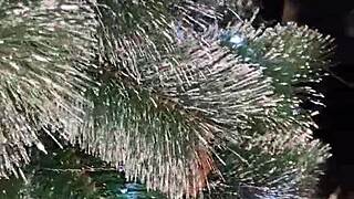 Step sister reveals christmas costume and offers her holes outdoors