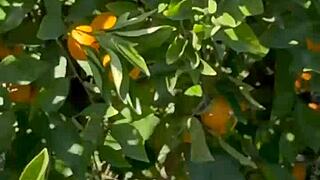 My First Ever Pornlog – Free SFW Version!