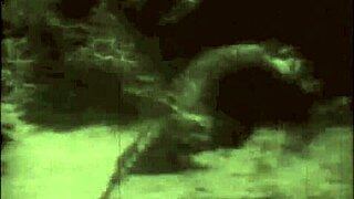 Vintage Taboo Pussy Play with Hairy Retro Babe Bent Over in Doggy Style