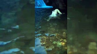 I’m blown away by this curvy Latina wife’s hard blowjob and wild doggystyle in Torrente.