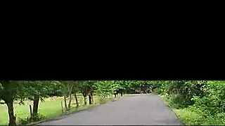 เอ่อ แอบบี้ มาคุกเข่ากับฉันแล้วโดนฉันเย็ดหีลาตินแน่นๆ ด้วยควยใหญ่เลย