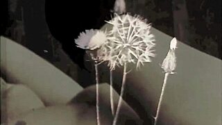 The Wonderful World of Vintage Pornography Interracial Threesome