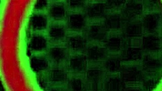 Petite Holly Lace Got Facialized Interracial In Bedroom With Monster Cock Deepthroat