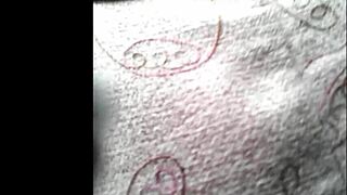 Peruvian Woman Does Her Shopping In The Local Market