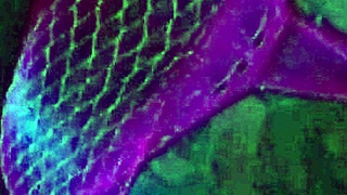 sensualizing and sucking that big cock deepthroat