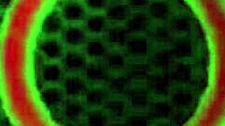 cameron canela reaches orgasm with big pussy in pov 😍