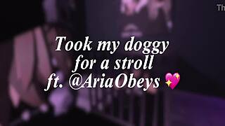 Lonely Puppy Discovers A New Owner And A Welcoming Home