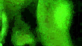 Deepthroat lessons with big black cock