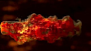 tight asian ass vs monster cock in intense session