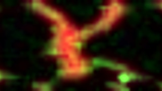 Cara Linda Tetas Grandes Busco Novio Para Hacer Videos