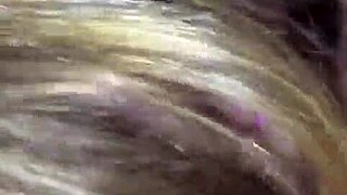 Hermosa Argenta Parte 1