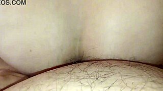 Le Doy Unos Sentones Al Vecino