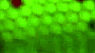 Indian Couple Lick, Blow, And Fuck With Passion