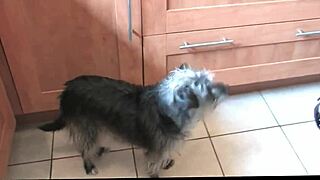 busty british housewife masturbates in stockings and heels