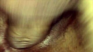 i paid my ride with my pussy to the app driver