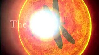 dialogic: yo, check dark lantern entertainment showing the dragonfly orgy