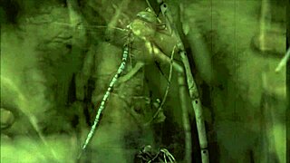 dialogic: yo, check dark lantern entertainment showing the dragonfly orgy