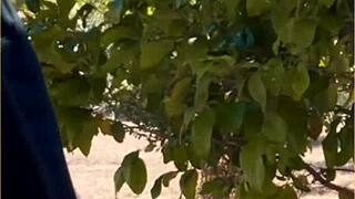 is this hot wife's public blowjob amazing or risky? outdoor adventure with her milf skills.