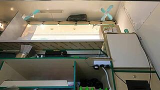 Hot Babe in Pink Skirt Caught on Hidden Camera Upskirt at Work!