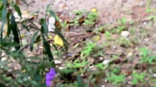 risky homemade fun unfolds with my cute cousin in a pov lick session