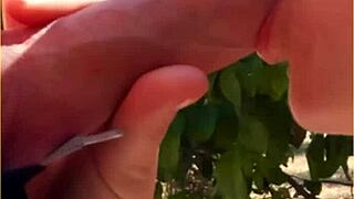 is this hot wife's public blowjob amazing or risky? outdoor adventure with her milf skills.