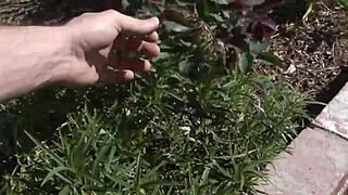 Hardcore Outdoor POV Action with a Sexy Milf in Wild Nature