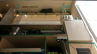 Hot Babe in Pink Skirt Caught on Hidden Camera Upskirt at Work!