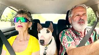 hey, wanna chat about sexual stuff while driving around east oahu?