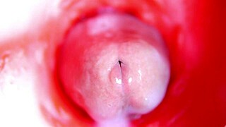 कैमरा चूत के अंदर, लगभग कमिंग, बेस्ट 4K ASMR?