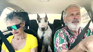 hey, wanna chat about sexual stuff while driving around east oahu?