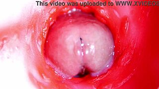 보지 안에 카메라, 거의 사정, 최고의 4K ASMR?