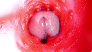 Kamera v piči, skoro vyvrcholenie, najlepšie 4K ASMR vôbec?