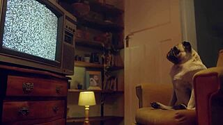 Plavusa Amy Douxxx međusobno drka kurac i pičku