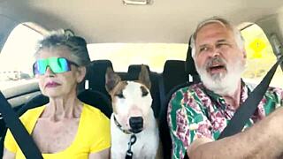 hey, wanna chat about sexual stuff while driving around east oahu?