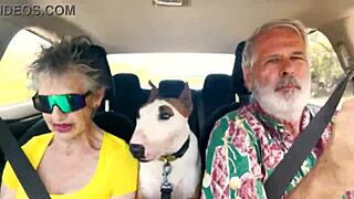 hey, wanna chat about sexual stuff while driving around east oahu?