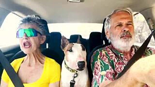 hey, wanna chat about sexual stuff while driving around east oahu?