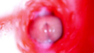 Camera Inside Pussy, Nearly Cumming, Best 4K ASMR Ever?