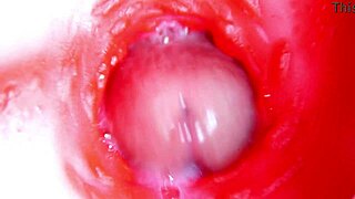 Camera Inside Pussy, Nearly Cumming, Best 4K ASMR Ever?