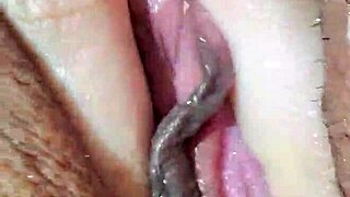 she masturbates alone at home fingering her pussy to orgasm