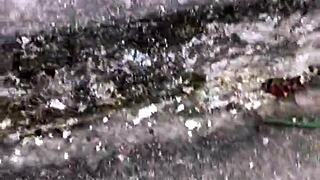 Crazy Horny Girl Climbs Hill To Offer Her Wet Pink Pussy!