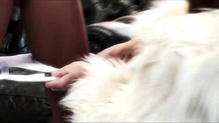 Dark Desires Soft Soft - Womens Dirty Fantasies Sc2