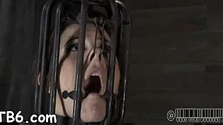 gagged beautys cunt is being drilled viciously by hard one-eyed monster