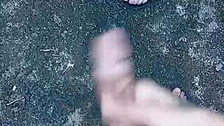 leite e boquete no quintal