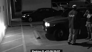 Slut Blows Guard To Avoid Fine!