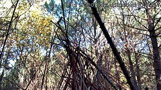 Clitlicker662 Update 23 - Img 1265 - Dec 12 2024