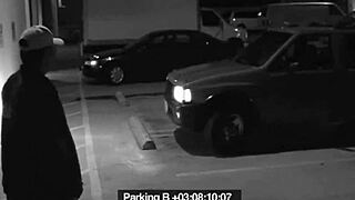 Slut Blows Guard To Avoid Fine!