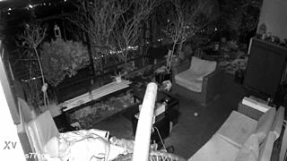 did you catch me jerking and cumming with moans on spy cam, m4rkus77cgn update 4?