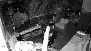 did you catch me jerking and cumming with moans on spy cam, m4rkus77cgn update 4?