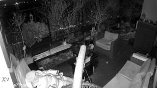 did you catch me jerking and cumming with moans on spy cam, m4rkus77cgn update 4?